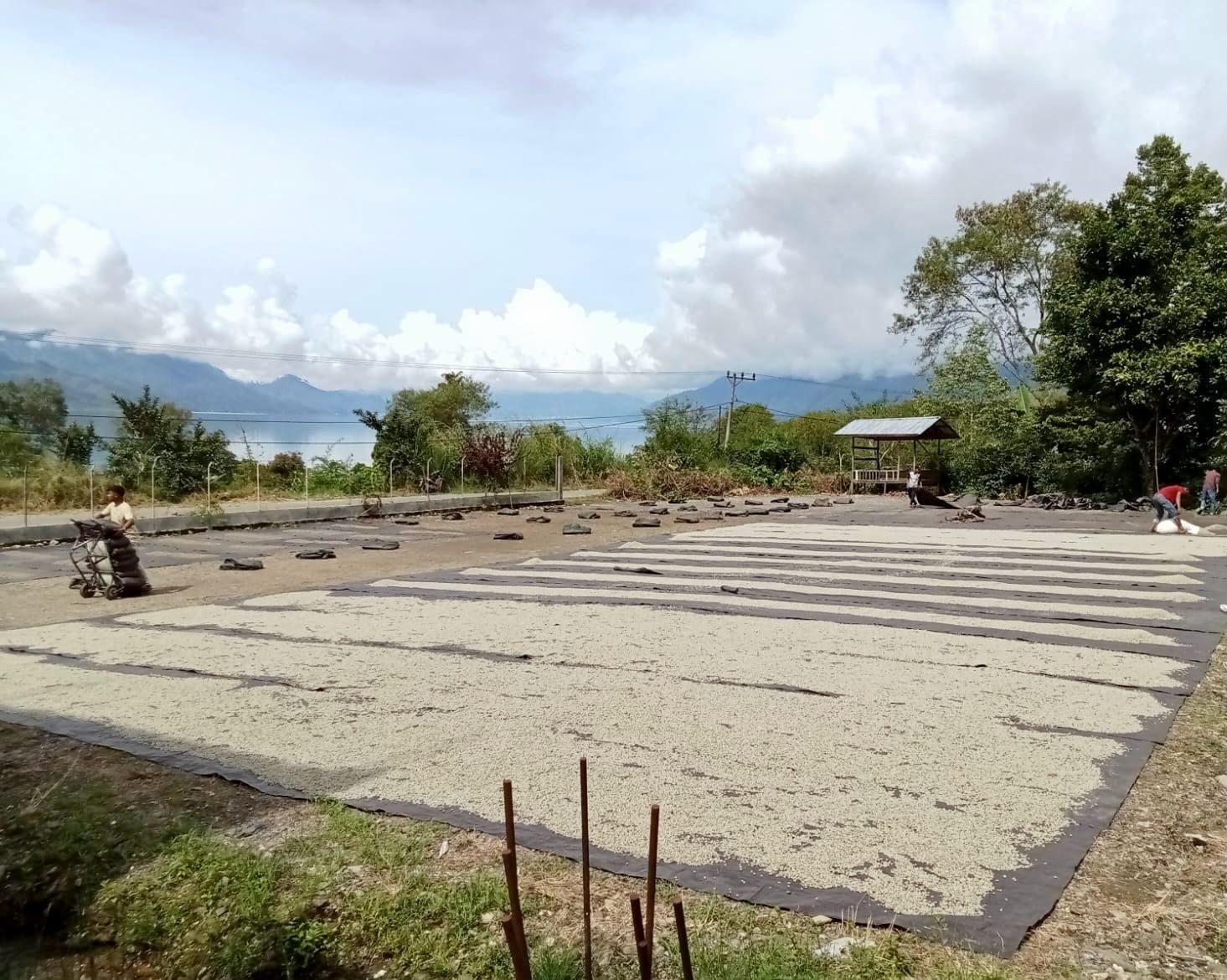 Penjemuran — Takengon