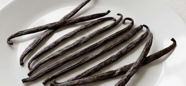 Vanili Cured Premium